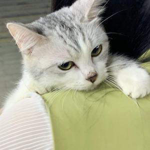 表妺的小嫩嫩好紧好爽
